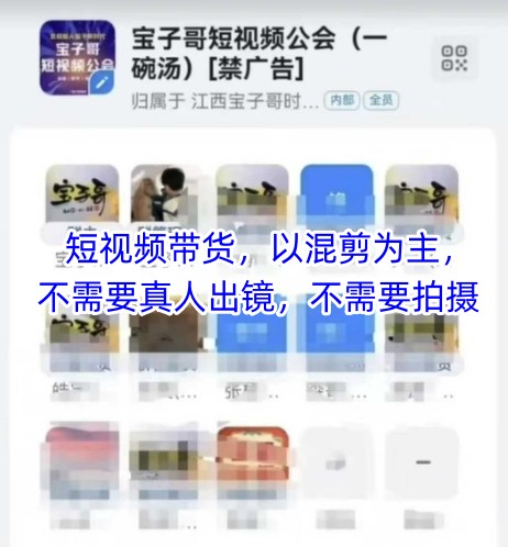 宝子哥头部团队短视频带货，以混剪为主，不需要真人出镜，不需要拍摄【更新】-网创之家