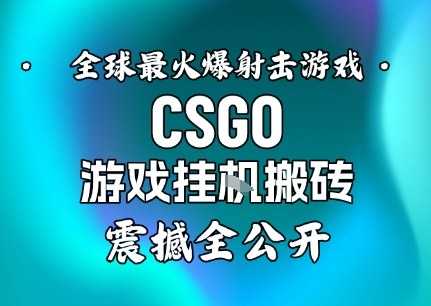 【年底大揭秘】基于全球最火爆的射击CSGO游戏挂G搬砖，日入5张+，震撼公开-网创之家