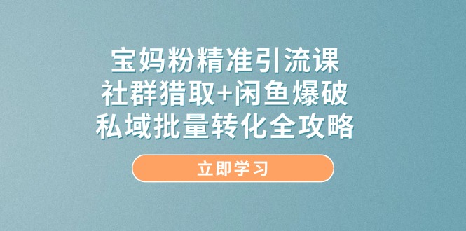 宝妈粉精准引流课，社群猎取+闲鱼爆破，私域批量转化全攻略-网创之家