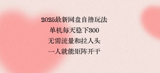 2025最新网盘自撸玩法，单机每天稳下3张，无需流量和拉人头，一个人就可轻松矩阵，全网独一份【揭秘】-网创之家