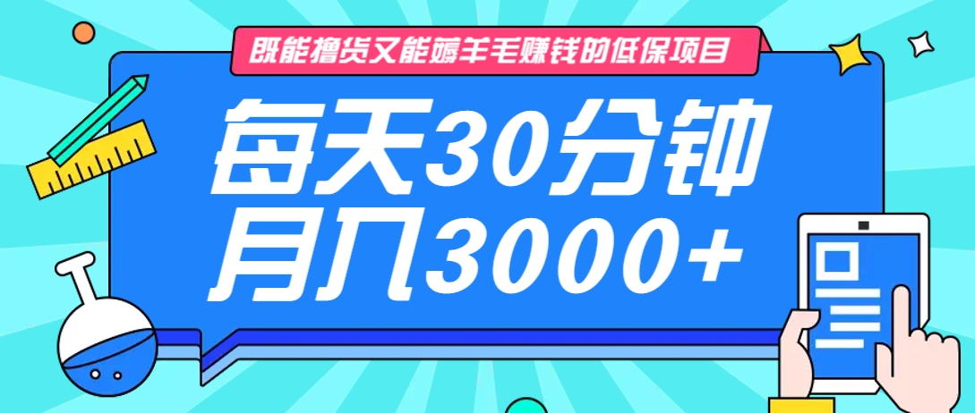 既能撸货又能赚钱的长期低保项目，每天30分钟，多号百分百稳定月入3000+！-网创之家