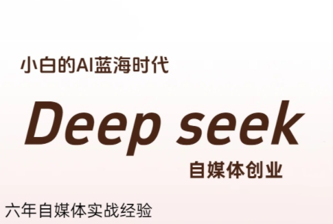 冰冰老师·普通人如何利用Deepseek创业-网创之家