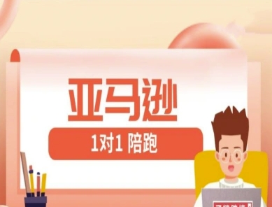 亚马逊1对1陪跑课(FBA/FBM精铺)跨境亚马逊教程-网创之家