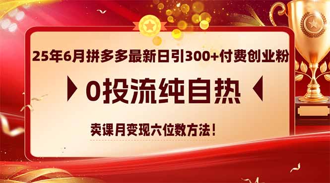 25年6月拼多多最新日引300+付费创业粉，0投流纯自热 卖课月变现六位数方法-网创之家
