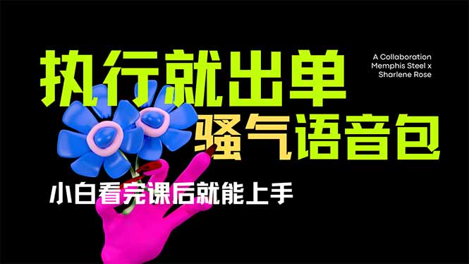 爆火全网的开车导航骚气语音包,只要执行就出单，小白看完课程就能实操...-网创之家