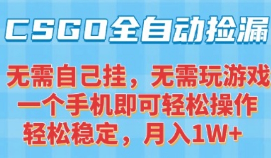 CSGO自动捡漏项目，最新独家玩法，一个手机可操作，新手小白轻松月入1W+，操作简单易上手【揭秘】-网创之家