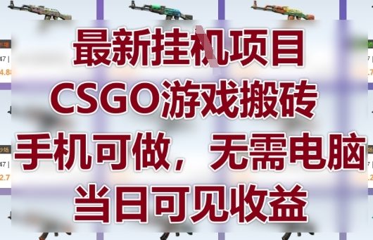 最新挂G项目，CSGO游戏搬砖，手机可做，无需电脑，当日见收益【揭秘】-网创之家