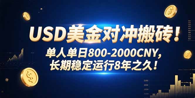 USD美金对冲搬砖!单人单日800-2000CNY，长期稳定运行8年之久!-网创之家